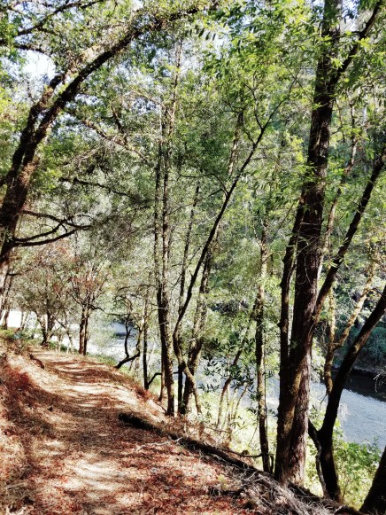 Women's Retreat 2017